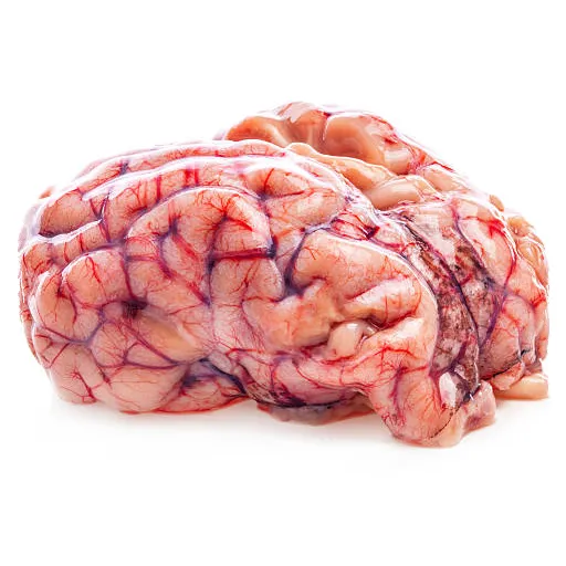 Goat Brain