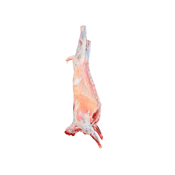 Whole Lamb