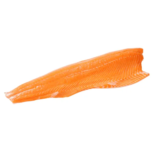 Salmon Fillet