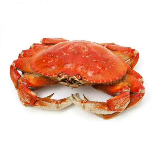 Crabs